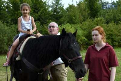 I nostri amici animali